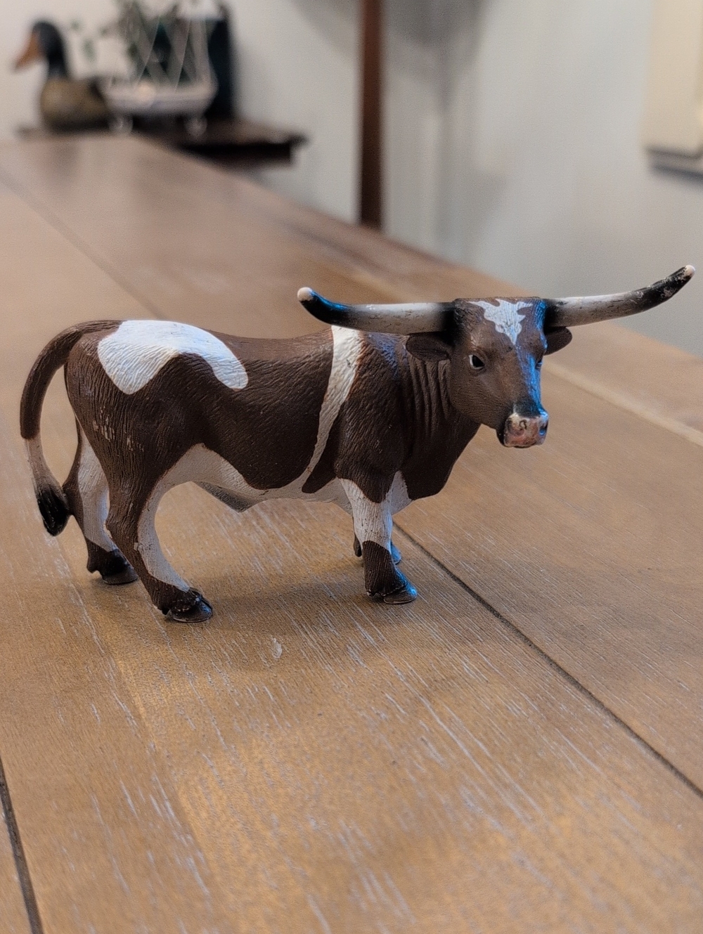 Mojo 2010 Texas Longhorn Cow Bull